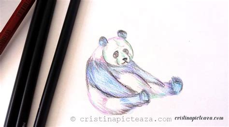 Baby Panda Drawing In Pencil