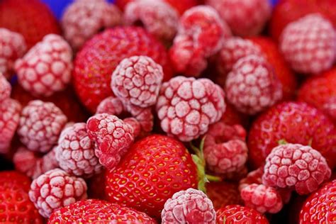 Framboises fraises Comment congeler des fruits frais