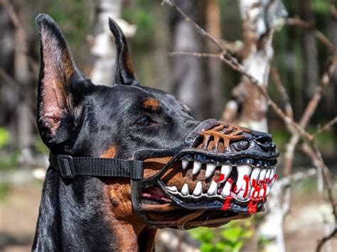 This Werewolf Dog Muzzle Is Best For Your Dog In 2021 Halloween