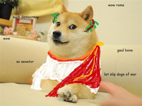 The Doge Meme Photos Cantik