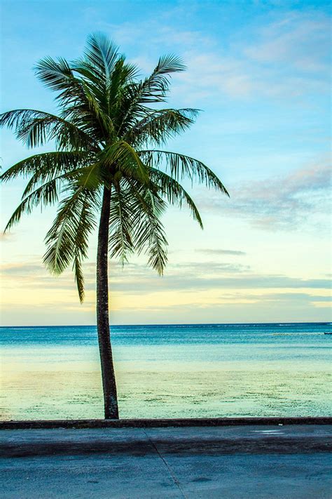 Tropical Paradise Palm Trees And Sea Breeze Ocean Beach In Guam