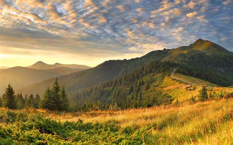 Photo Of Green Mountain At Golden Hour Hd Wallpaper Wallpaper Flare