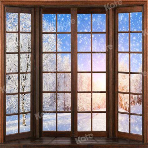 Kate Winter Snow Scene Backdrop Wooden Window For Photography