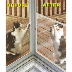 With new design and premium quality fiberglass mesh, more scratch. CLAWS OFF SCREEN DOOR PROTECTOR. Save Screens From Pet Or ...
