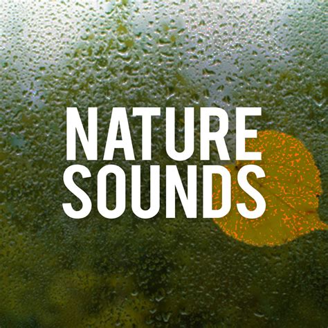 Nature Sounds Nature Sounds Iheart