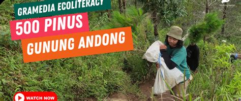 CorporaTree Peran Perusahaan Peduli Lingkungan Bersama LindungiHutan Untuk Penghijauan Indonesia