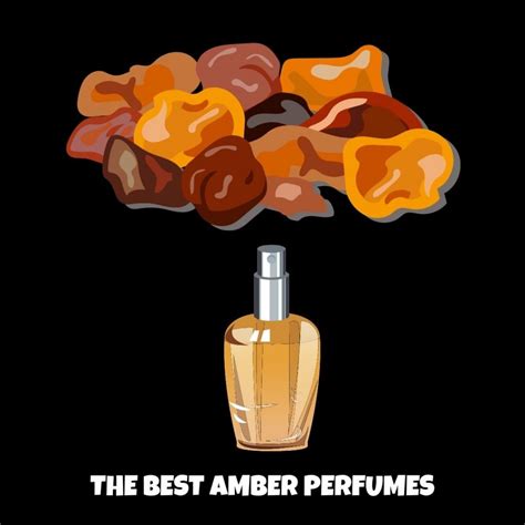 The Best Amber Perfume 2023 Top 7 Fragrances