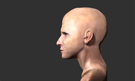 Human Head Sculpt Zbrush