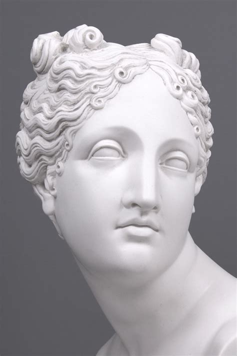 Venus Aphrodite Bust Sculpture Large Greek Goddess Statue Etsy