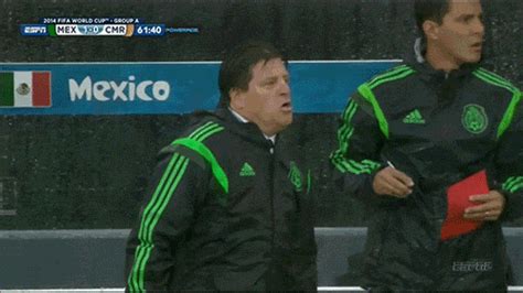 The #1 gif people cared about in 2014. Farewell Dear Friend: Top 7 GIFS of Insane Mexico Manager ...