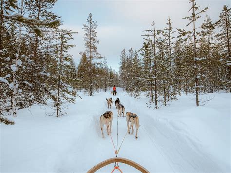 Lapland Travel Akaslompolo 2022 What To Know Before You Go