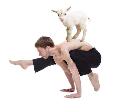 Goat Yoga Its A Thing Animals Are Known To Be Therapeutic Surprise