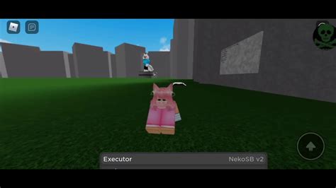roblox r36 characters