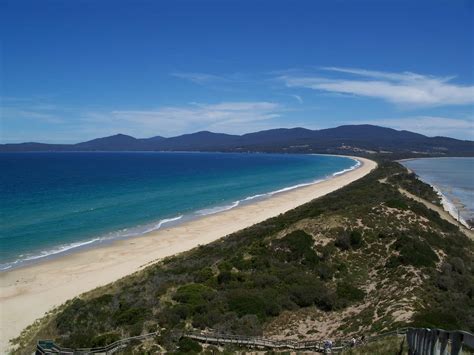Things To Do On Bruny Island Tasmania Tours