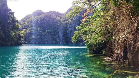 Barracuda Lake Coron Palawan By Inlovewithyou0 On Deviantart