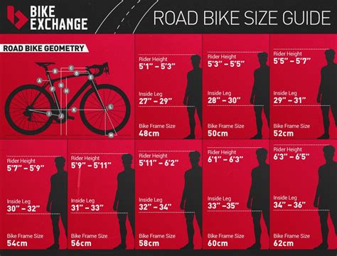 Specialized Road Bike Size Chart