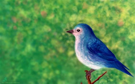 Blue Bird Wallpaper Wallpapersafari