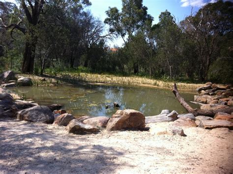 Rio Tinto Naturescape Kings Park Parks Kings Park Perth City