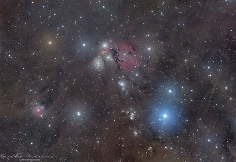 Nebulosa Angelo Ngc 2170 Apod By