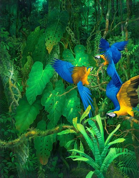 Rainforests Tropical Art Jungle Art Visionary Art