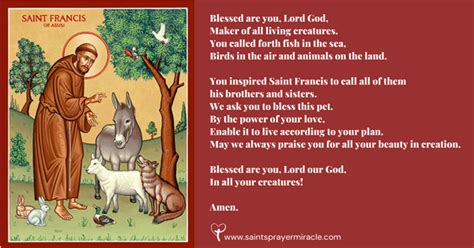 St Francis Of Assisi Prayer For Animals Pets Saints Prayer Miracle