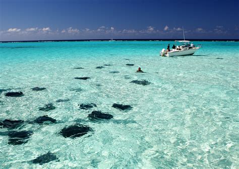 If you love unique animal encounters, i would suggest taking a trip out to this close encounter with the fish kind in. Stingray City, Grand Cayman Islands - 1001 Travel Tips