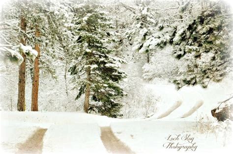 Photography Spring Snow Forest Trees Road Home Spring Snow