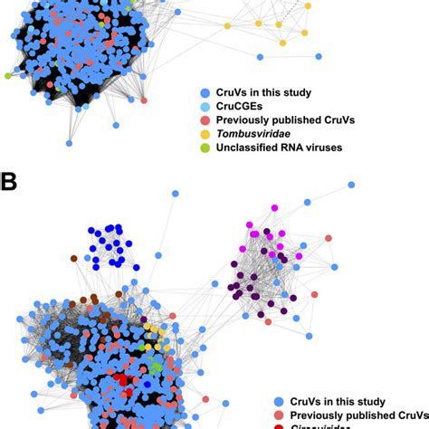 Similarity Networks Of Cruciviral Proteins With Related Viruses A