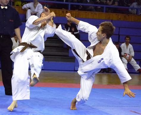 The world karate federation aims to promote karate as a sport and to inform about everything related to this activity. II Otwarte Mistrzostwa Czech Karate Kyokushin Ostrawa 31 ...