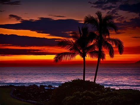 Oahu Sunset Wallpapers K Hd Oahu Sunset Backgrounds On Wallpaperbat