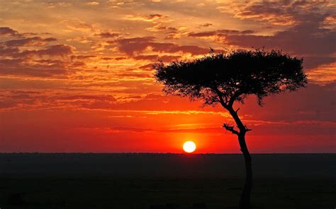 African Landscape Sunset Background Wallpaper I Hd Images