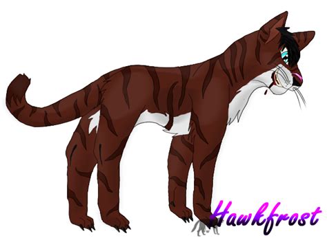 Hawkfrost By Rakshaww On Deviantart