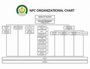 Organizational Chart Of A City Hall