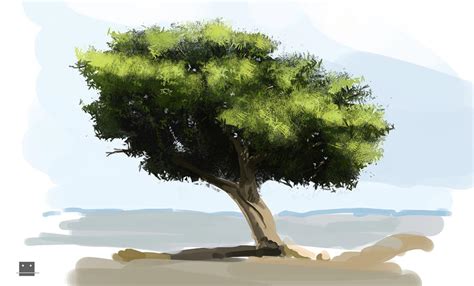 Digital Painting Trees By Sickbrush On Deviantart