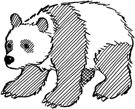 Panda Bear Drawing Free Download On Clipartmag