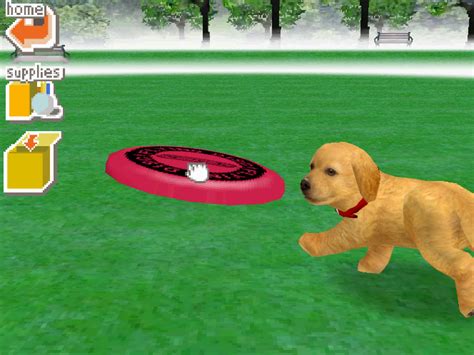 Park Nintendogs Wiki Fandom