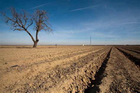 Parched Agricultural Land Stock Photo Download Image Now Istock