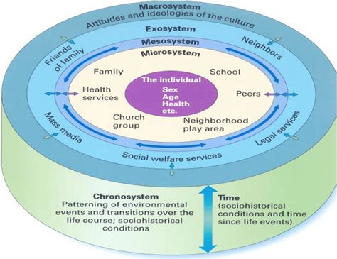 To study a child's development then. Bronfenbrenner's Ecological Systems Theory. (Source ...
