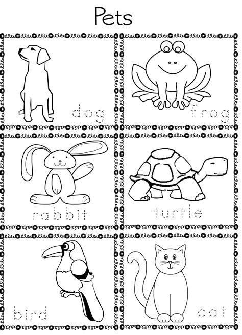 Pet Activities for Preschool ELL | Pets preschool, Pets preschool theme, Preschool activities