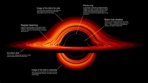 All Black Holes Should Sport Light Rings Inside Science