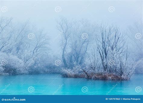 Frozen Turquoise Lake In Misty Winter Morning With Winter Trees Stock