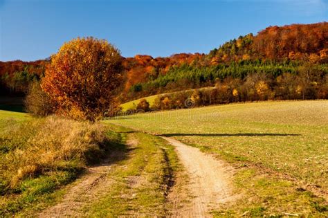 Golden Autumn In German Countryside Stock Image Image Of Track Rural