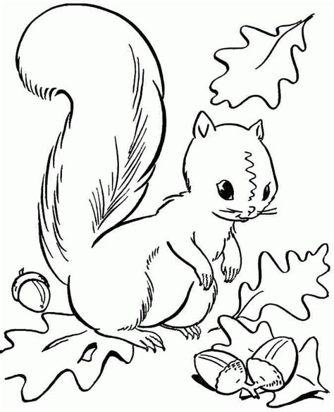 Preschool Fall Coloring Pages - Coloring Home