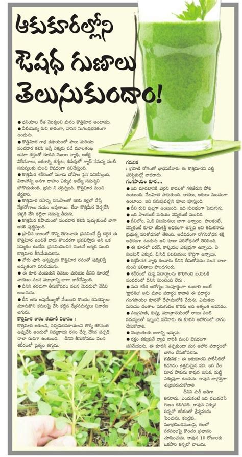 Pin By Sreevenireddy On Health Tips Natural Health Tips Good Health