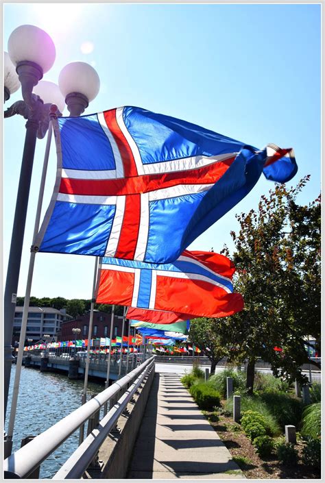 Modern bouquets & unique plants designed to impress. june-day-june-25-2016-charlie-colasurdo.jpg (2050×3050 ...