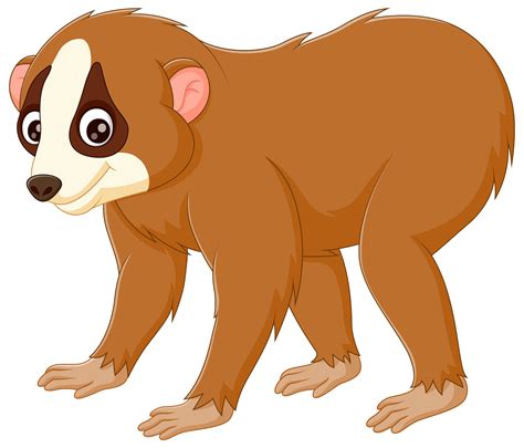 Cute Slow Loris Cartoon Isolated On White Background Vector Illustration 32047382 Vector Art At