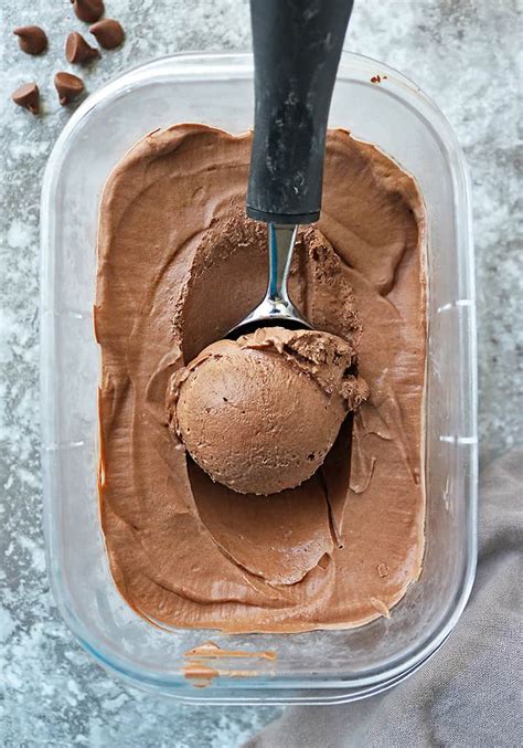 Easy Vegan Chocolate Ice Cream Recipe Savory Spin