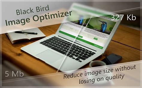 Black Bird Image Optimizer Lifetime Deal Can Reduce The Size Of Your Photo