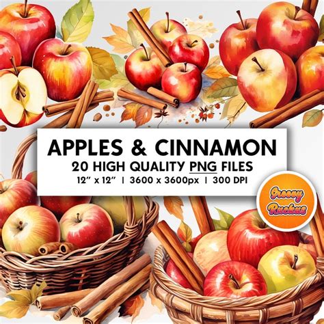 Apples Cinnamon Clip Art Set Digital Art Scrapbooking Clipart Etsy