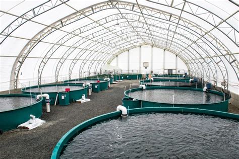 Fish Farming Done Responsibly Aquaculture Magazine Catfish Farming